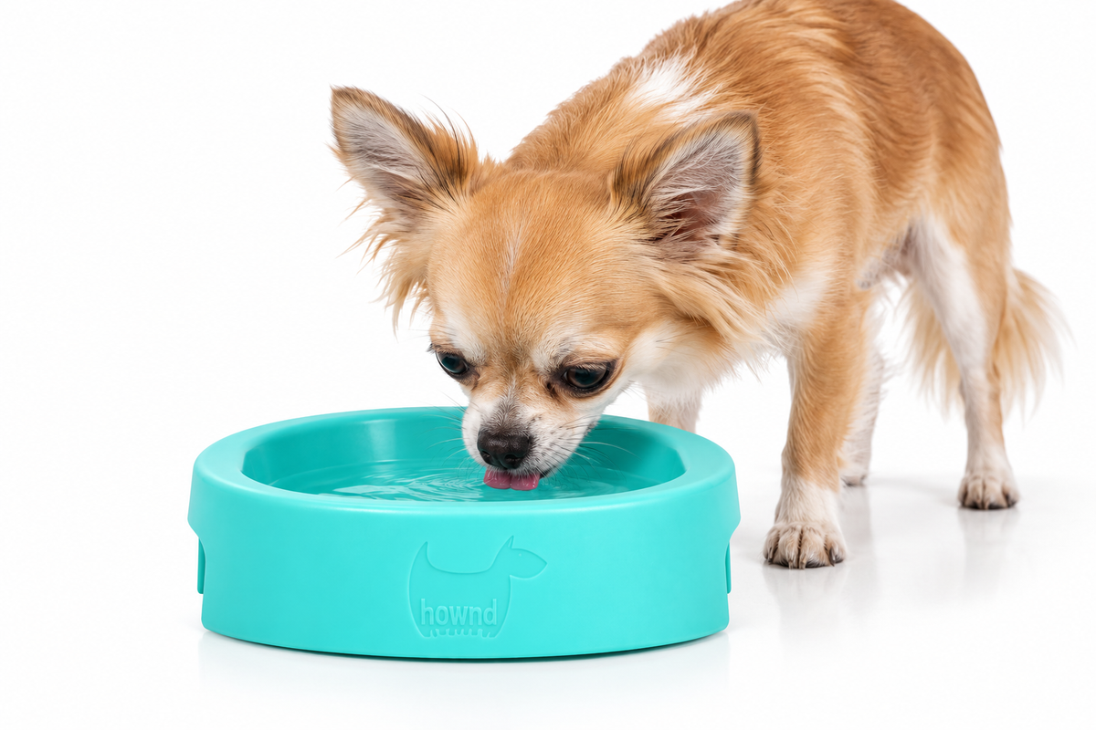 HOWND Antibacterial HERO Bowl – Hondenvoer- & Drinkbak - productafbeelding 6